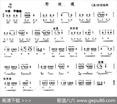 野玫瑰|[奥]舒伯特
