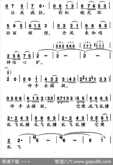 少女的太阳 - 叶笛|孙承禧