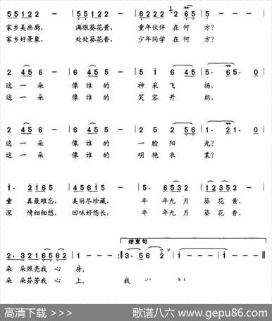 葵花黄，葵花香 - 周小泉|伍志良