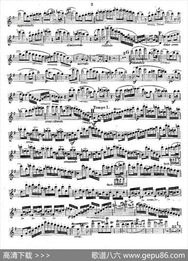 Concertstück.Op.3.-flutepartonly