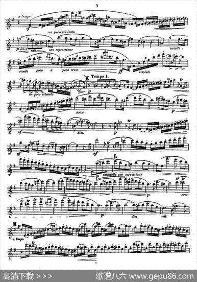 Concertstück.Op.3.-flutepartonly