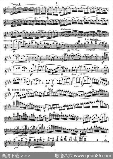 Concertstück.Op.3.-flutepartonly