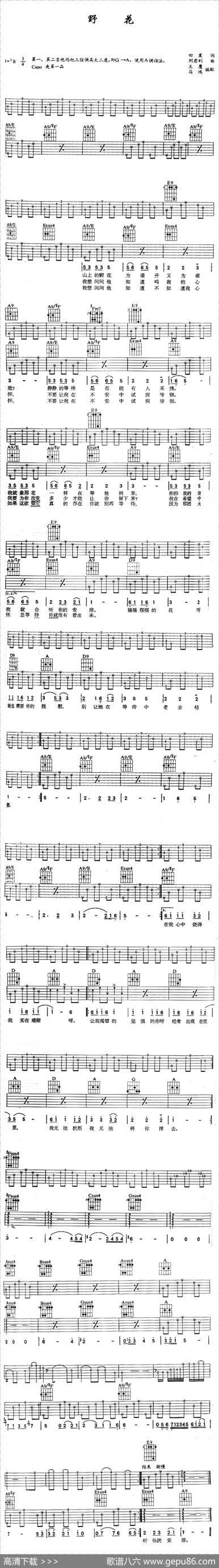 野花（田震词刘利君曲、王鹰马鸿编配版） - 田震|刘利君曲、王鹰马鸿编配