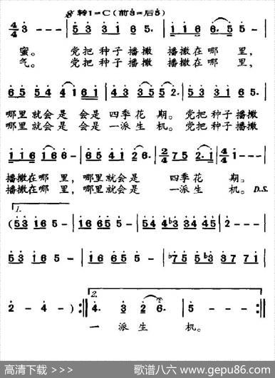 种子（赵严华词金刚曲） - 赵严华|金刚