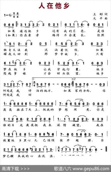 人在他乡（王彬词大平曲） - 王彬|大平