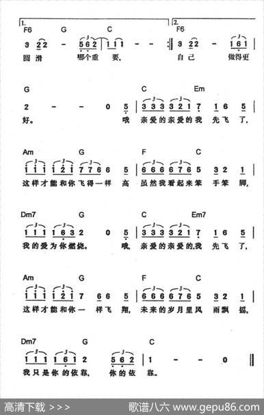 笨鸟先飞 - 舒楠|舒楠