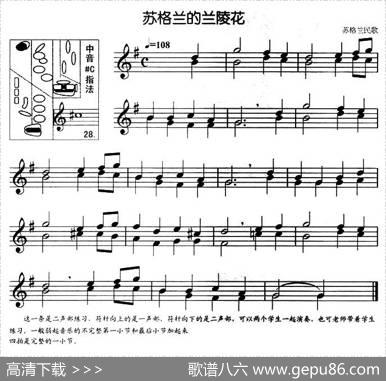 苏格兰的兰陵花（二重奏）