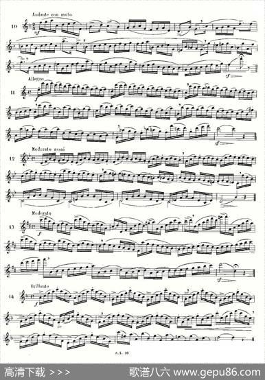 moyse-100首练习曲之1—14|moyse