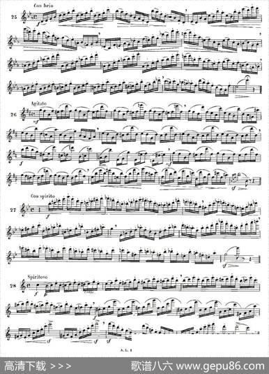moyse-100首练习曲之15—28|moyse