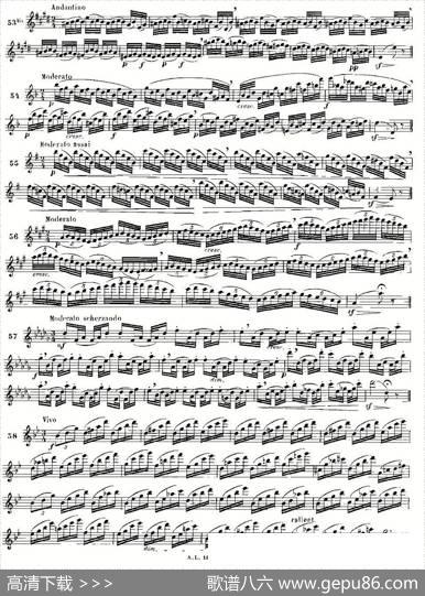 moyse-100首练习曲之50—66|moyse