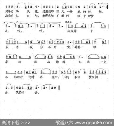 想念我的大西北（李庆文词张遇良曲） - 李庆文|张遇良