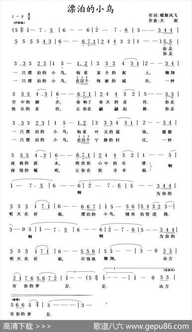 漂泊的小鸟 - 蝶舞风飞|天妮