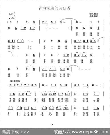青海湖边的蘑菇香 - 陶冶|陶冶