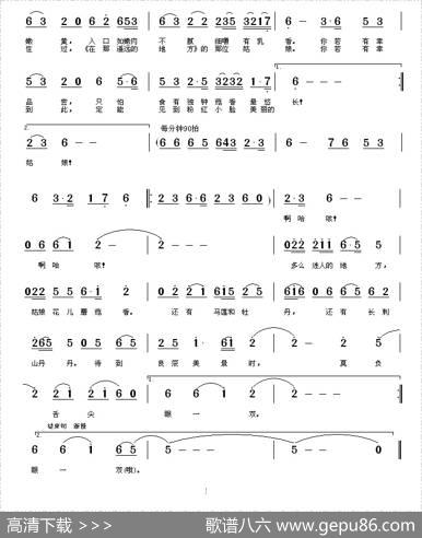 青海湖边的蘑菇香 - 陶冶|陶冶