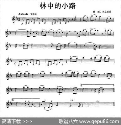 林中的小路|魏越、罗京京