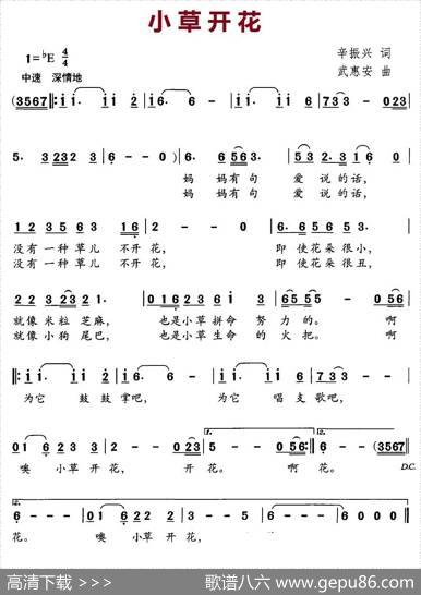 小草开花 - 辛振兴|武惠安