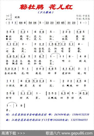 簕杜鹃，花儿红 - 于学东|朱华胜