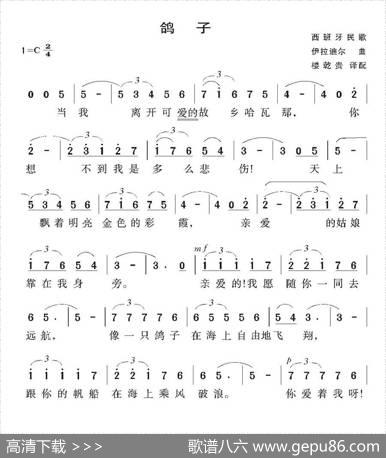 [西班牙]鸽子|伊拉迪尔