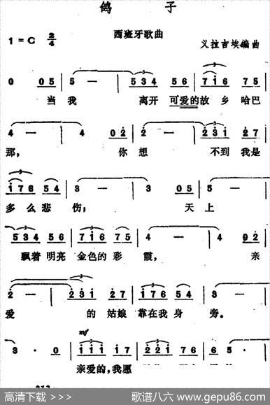 [西班牙]鸽子|伊拉迪尔