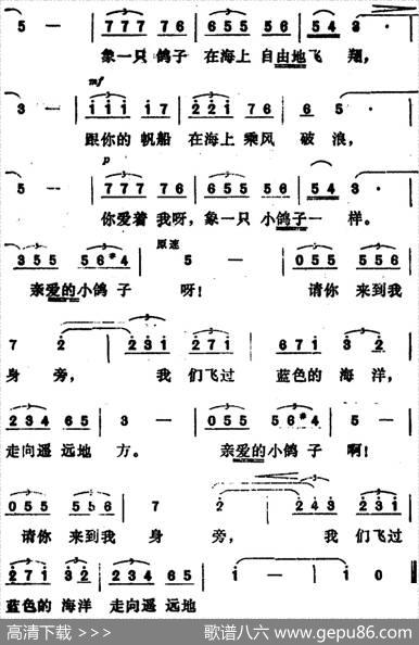 [西班牙]鸽子|伊拉迪尔