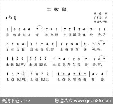 [德国]土拔鼠 - 歌德|贝多芬