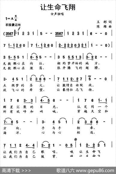 让生命飞翔 - 王彬|陈雄