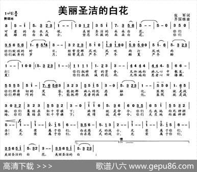 美丽圣洁的白花 - 张军|齐国栋