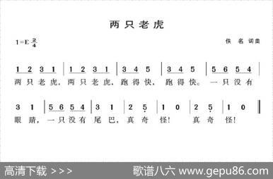 两只老虎
