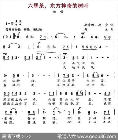 六堡茶，东方神奇的树叶 - 李秀维、赵金|赵金