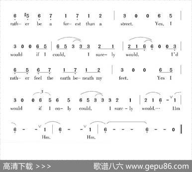 [美]秃鹰飞去|罗勃斯