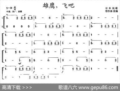 雄鹰，飞吧（二胡二重奏）|管作基改编