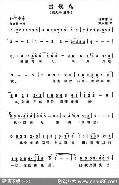 雪候鸟（电视剧《新乱世佳人》片头曲） - 许常德|刘天健