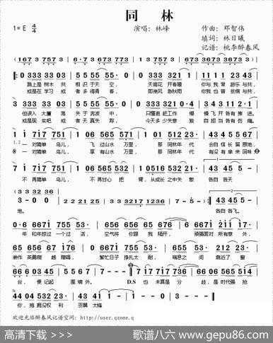 同林 - 邓志伟|林日曦