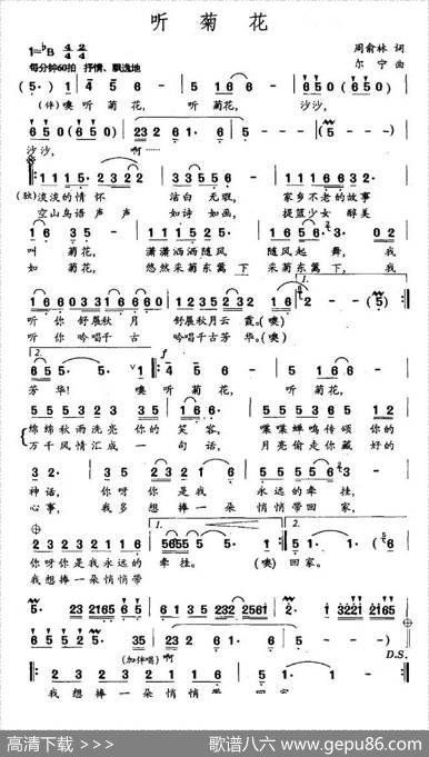 听菊花 - 周俞林|尔宁