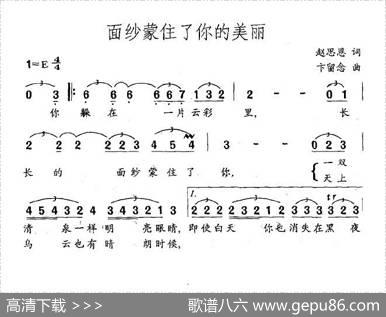 面纱蒙住了你的美丽 - 赵思恩|卞留念