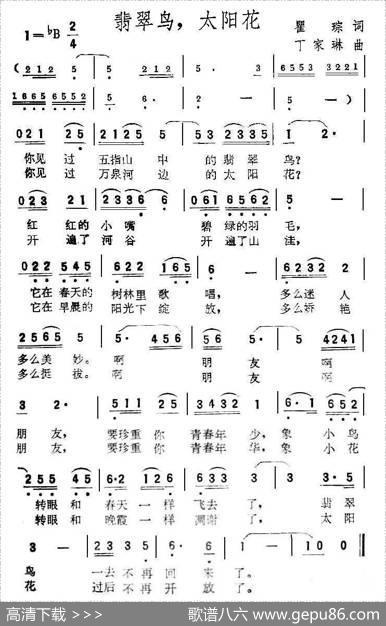 翡翠鸟，太阳花 - 瞿琮|丁家琳