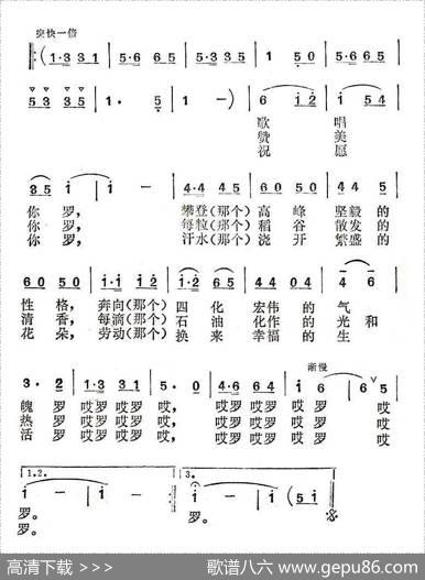 美好的赞歌 - 洪源|田光