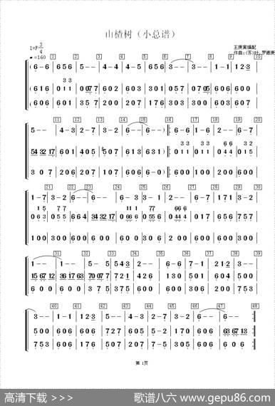 山楂树（小总谱）|[苏]叶.罗徳庚