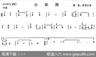 小松树|傅晶李伟才