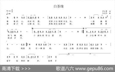白茶缘 - 罗方勇|韦龙东