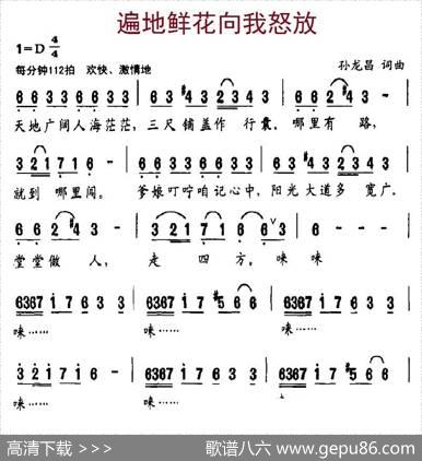 遍地鲜花向我怒放 - 孙龙昌|孙龙昌