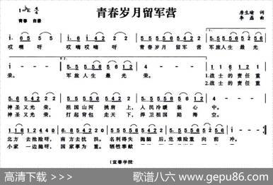 青春岁月留军营 - 唐生瑜|李磊