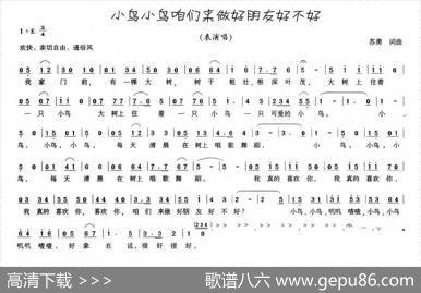 小鸟小鸟咱们来做朋友好不好 - 苏勇|苏勇