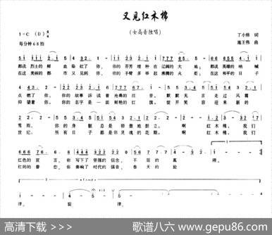 又见红木棉