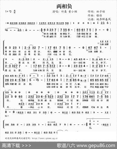 两相负 - 林子桔|银临