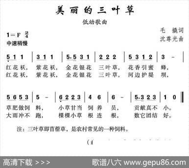 美丽的三叶草 - 毛撬|沈尊光
