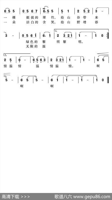 森林女工 - 王健|沈尊光石铁民