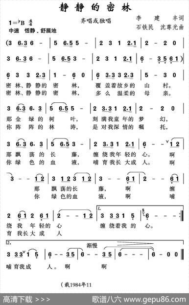 静静的密林（李建丰词石铁民沈尊光曲） - 李建丰|石铁民沈尊光