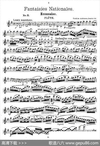 Fantaisiesnationales.Op.59,2.|Andersen（安德森）