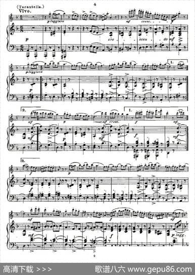 Fantaisiesnationales.Op.59,5.（长笛+钢琴伴奏）|Andersen（安德森）